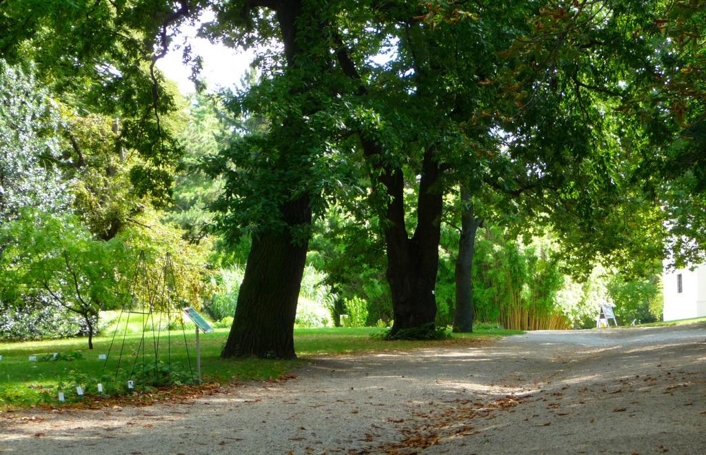 Streetview Wien - Premium Apartment Beim Belvedere מראה חיצוני תמונה